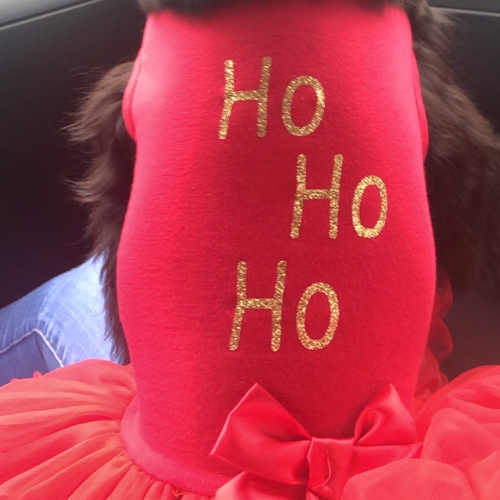 Red “ho ho ho” pet dress tulle skirt small